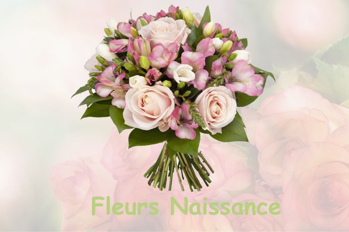 fleurs naissance PIEGROS-LA-CLASTRE