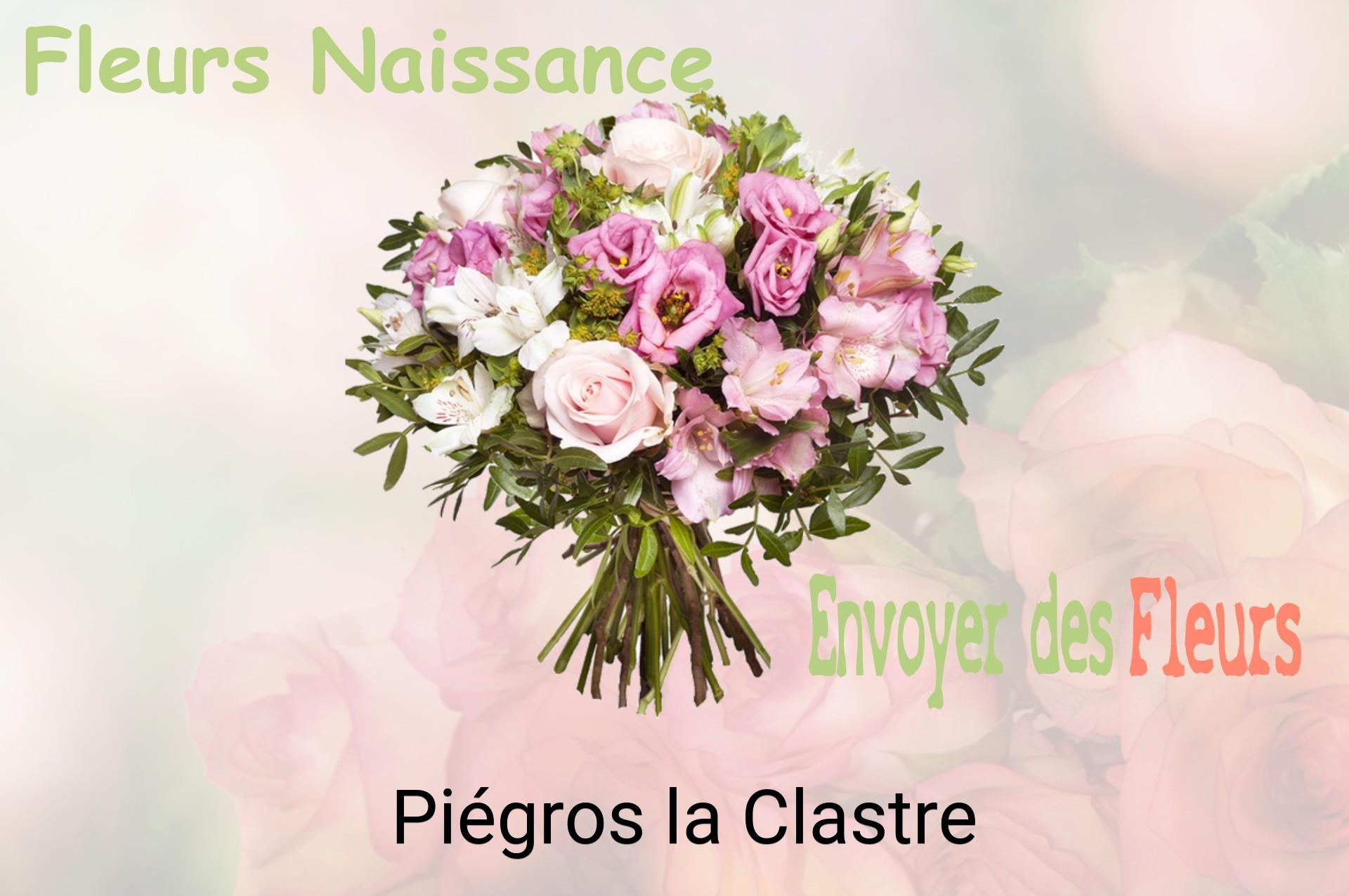 Bouquet de fleurs de naissance livré à Piégros-la-Clastre